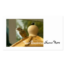 Warbler on the Lookout Business Cards