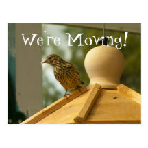 Warbler on the Lookout; Change of Address Postcard