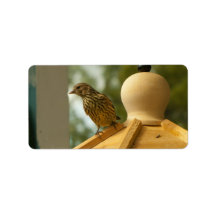 Warbler on the Lookout Custom Address Label