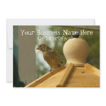 Warbler on the Lookout; Gift Certificate Custom Invitation
