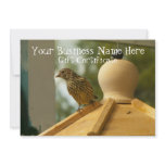 Warbler on the Lookout; Gift Certificate Custom Invitation