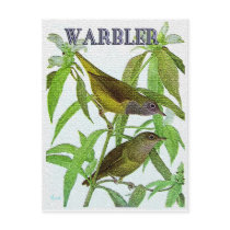Warbler on Tree postcards
