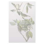 Warbling Vireo, John Audubon Stationery Design