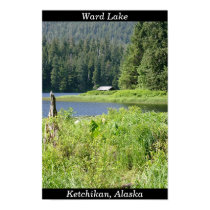 Ward Lake in Ketchikan, Alaska posters by AmyBalenzano Ward Lake in Ketchikan, Alaska posters