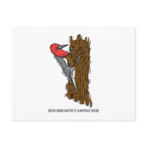 Wardell Woodpecker Postcard