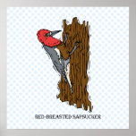 Wardell Woodpecker Print
