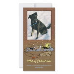 "Warm and Cozy Christmas" Photo Card
