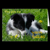 Warm Fuzzies Border Collie Puppy Valentine Card cards