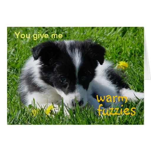 Warm Fuzzies Border Collie Puppy Valentine Card