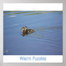 Warm Fuzzies Print