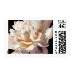 Warm Glow on Dark Peony Wedding Postage stamp