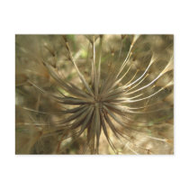 Warm Gold Globe Notes Card postcards