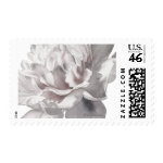 Warm Gray Peony Wedding Postage stamp