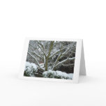 "Warm Holiday Wishes" Card