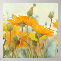 Warm in the Sun - Orange & Yellow Daisy Print posters