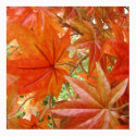 Warm Leaves posters by Little_Fish_Travel Warm Leaves posters