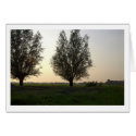 Warm Summer Evening cards