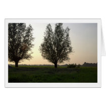 Warm Summer Evening cards