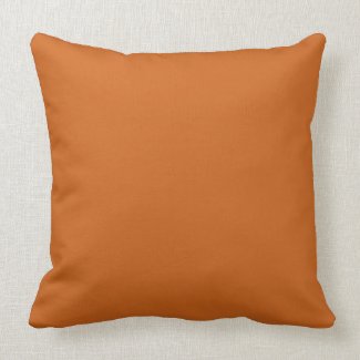 Warm Sunburst (20"x20" Pillow)