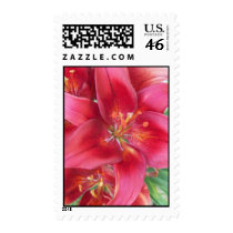 Warm Velvet 2 Postage postage