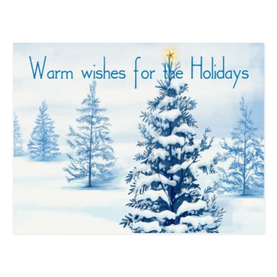 Warm wishes for the Holidays Post Card