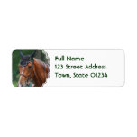 Warmblood Horse Mailing Label