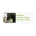 Warmblood Horse Photo Mailing Label