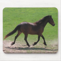 Warmblood Mousepad