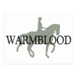 WARMBLOOD with Dressage Horse & Rider Post Cards