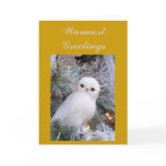 Warmest Greetings Greeting Card