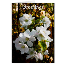 Warmest Greetings Card