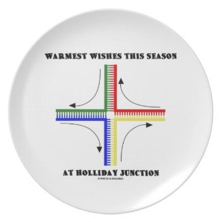 Warmest Wishes This Season At Holliday Junction Party Plate