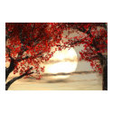 Warming and Peaceful Trees Poster posters