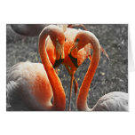 Warming Love cards