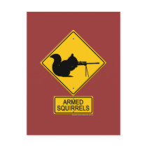 Warning Armed Squirrels Postcards