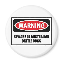 Warning BEWARE OF AUSTRALIAN CATTLE DOGS Magnet