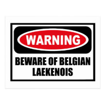 Warning BEWARE OF BELGIAN LAEKENOIS Postcard