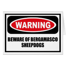 Warning BEWARE OF BERGAMASCO SHEEPDOGS Greeting Ca Greeting Cards