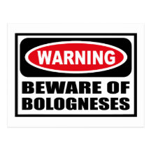 Warning BEWARE OF BOLOGNESES Postcard