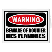 Warning BEWARE OF BOUVIER DES FLANDRES Greeting Ca Greeting Cards