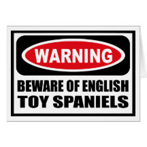 Warning BEWARE OF ENGLISH TOY SPANIELS Greeting Ca Greeting Cards