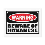 Warning BEWARE OF HAVANESE Postcard