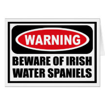 Warning BEWARE OF IRISH WATER SPANIELS Greeting Ca Greeting Card