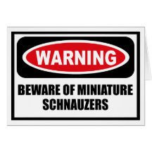 Warning BEWARE OF MINIATURE SCHNAUZERS Greeting Ca Greeting Card