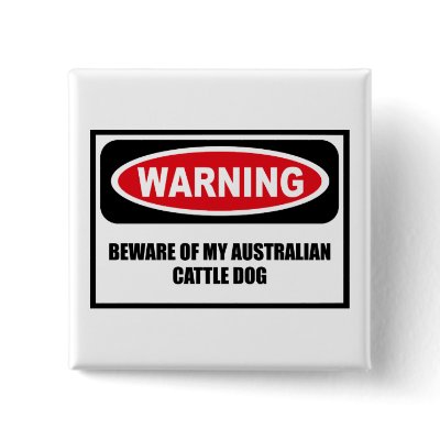 Warning BEWARE OF MY AUSTRALIAN CATTLE DOG Button by warningsignshirts