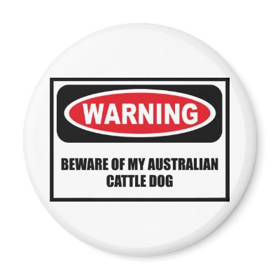 Warning BEWARE OF MY AUSTRALIAN CATTLE DOG Magnet by warningsignshirts