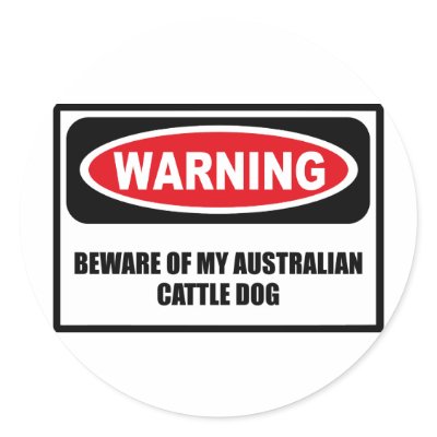 Warning BEWARE OF MY AUSTRALIAN CATTLE DOG Sticker by warningsignshirts