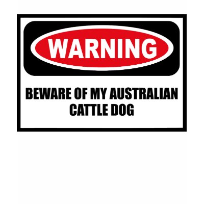 Warning BEWARE OF MY AUSTRALIAN CATTLE DOG Women's Shirt by warningsignshirts