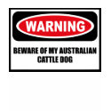 Warning BEWARE OF MY AUSTRALIAN CATTLE DOG Women's t-shirts