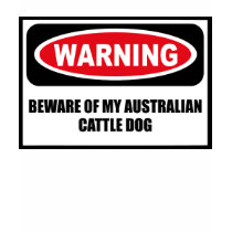 Warning BEWARE OF MY AUSTRALIAN CATTLE DOG Women's t-shirts by warningsignshirts Warning BEWARE OF MY AUSTRALIAN CATTLE DOG Women's t-shirts